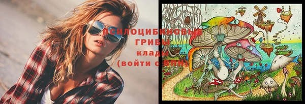 MESCALINE Алзамай