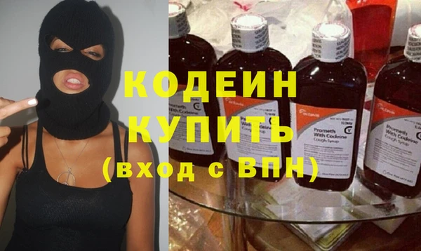гидра Каменногорск